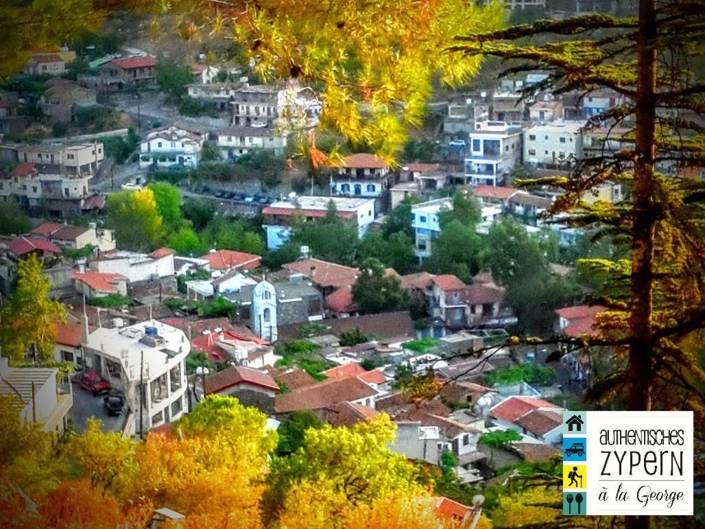 Palechori Isminis Petroktisto Holidays Stonehouse מראה חיצוני תמונה
